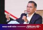 আসুন সবাই মিলে দেশের জন্য কিছু করি: প্রবাসীদের প্রতি প্রধানমন্ত্রী