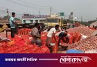 ফরিদপুরে পেঁয়াজের বাম্পার ফলনেও কৃষকের মাথায় হাত, উঠছে না উৎপাদন খরচও