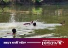 ফরিদপুরে প্রথমবারের মতো ঐতিহ্যবাহী ‘হাঁস খেলা’: পুকুরপাড়ে মানুষের ঢল