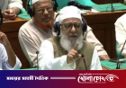 স্বরাষ্ট্রমন্ত্রীকে ‘হাল জামানার মুফতি’ বললেন জামায়াতের এমপি