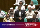 রাজনৈতিক হস্তক্ষেপ হচ্ছে না তাই দেশে ধর্ষণের পরিসংখ্যান বেড়েছে: স্বরাষ্ট্রমন্ত্রী