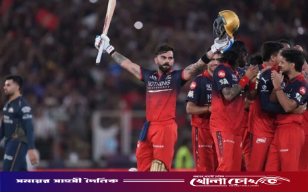 কোহলির ব্যাটে ভর করে টানা দ্বিতীয়বার আইপিএল চ্যাম্পিয়ন বেঙ্গালুরু