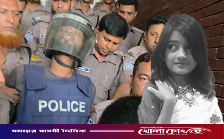‘আমি শুধু ধর্ষণ করছি, মারছে ডলার’