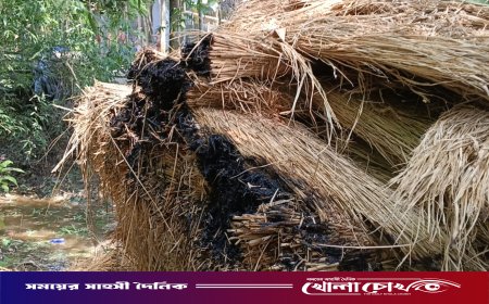 ফরিদপুরের নগরকান্দায় বিএনপির দুই পক্ষের সংঘর্ষ, আহত ১৫