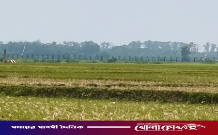 সীমান্তে জড়ো করা ব্যক্তিদের সরাল বিএসএফ