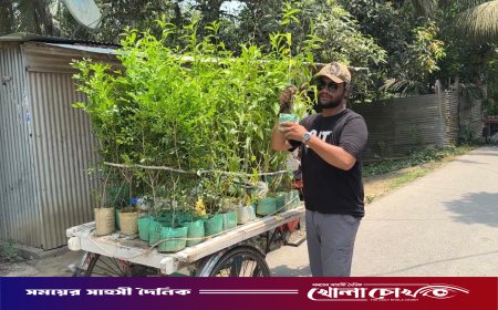 কবরের ফুলগাছ চুরি: চোরের প্রতি প্রতিশোধ নয়, পুরো গ্রামকে ফুলে সাজিয়ে অভিনব জবাব যুবকের
