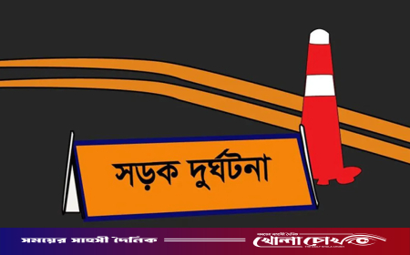 ঈদযাত্রায় সড়ক দুর্ঘটনায় হতাহত ১১১৮ জন