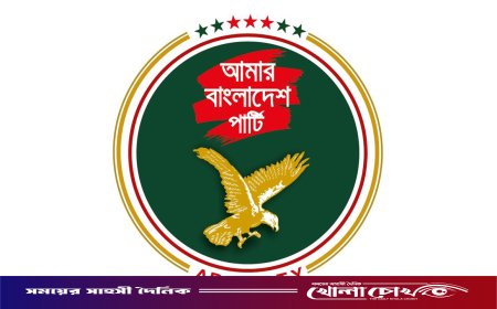 জনগণের পকেট কাটতে বিদ্যুতের দাম বৃদ্ধি : এবি পার্টি