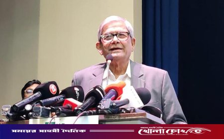 নির্বাচনের আগেই তারা আমাকে হারিয়ে দিয়েছিল : মির্জা ফখরুল
