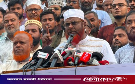 বিদ্যুতের দাম বাড়িয়ে জনগণের ওপর জুলুম চাপিয়ে দেওয়া হয়েছে
