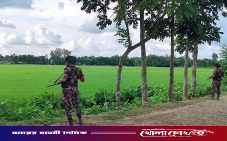 লালমনিরহাট সীমান্তে পুশইন ব্যর্থ, ৩৩ জনকে ফিরিয়ে নিল বিএসএফ