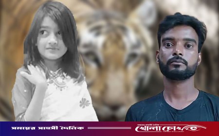 আদালত প্রাঙ্গণে যেসব দাবি জানাচ্ছেন রায় শুনতে আসা মানুষ
