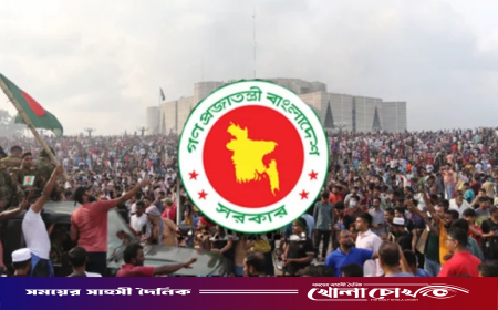গণ-অভ্যুত্থান দিবসে শহীদ পরিবার ও জুলাই যোদ্ধাদের সংবর্ধনা দেবে সরকার