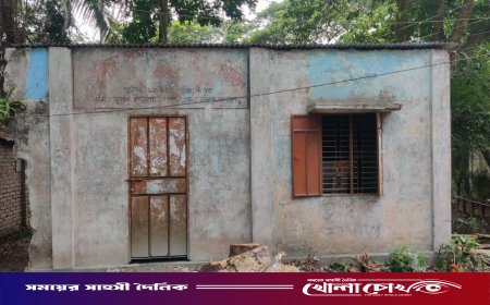 বিলুপ্তির পথে নগরকান্দার ঐতিহ্যবাহী ‘নবারুন সমাজ কল্যাণ সমিতি’: সংস্কার ও পুনর্জাগরণের দাবি