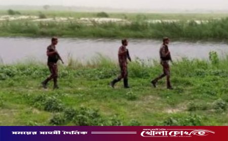 কুষ্টিয়ার দৌলতপুর সীমান্তে অনুপ্রবেশ ও পুশইন রোধে বিজিবির কঠোর নজরদারি