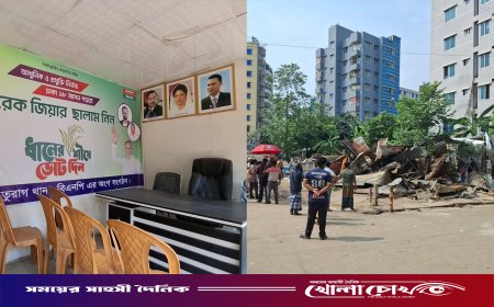 ‘যেই দল ক্ষমতায় যায় তারাই দখল করে’