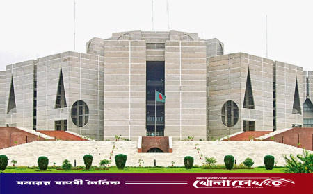 বাজেটে কমতে ও বাড়তে পারে যেসব পণ্যের দাম