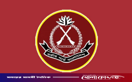 মে মাসে বিজিবির অভিযানে ১৭৭ কোটি টাকার চোরাচালান পণ্য জব্দ