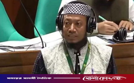 লালন শাহের মাজার মাদকমুক্ত করার দাবি আমির হামজার