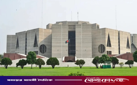 মন্ত্রিসভার বিশেষ বৈঠক শুরু
