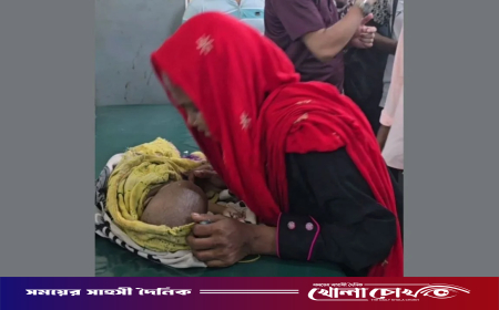 ফেনীতে সন্তানকে আছাড়ে মারল মাদকাসক্ত পিতা