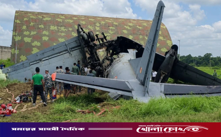 ভারতে বিমান বাহিনীর বিমান বিধ্বস্ত হয়ে নিহত ৫