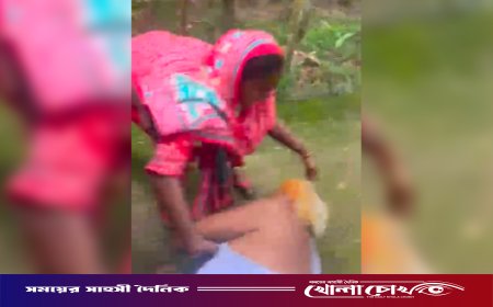 নোয়াখালীতে প্রবাসী পরিবারের ওপর হামলা-হয়রানির অভিযোগ