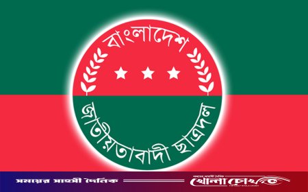 সব শিক্ষাপ্রতিষ্ঠানে ছাত্রদলের নতুন কর্মসূচি ঘোষণা