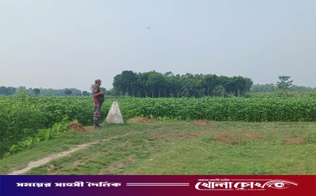 দর্শনা সীমান্ত দিয়ে ১১ জনকে পুশইনের চেষ্টা