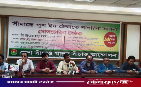 হাসিনাকে পুশ ইন করুন, দেখি কত সাহস’: গোলটেবিলে বক্তারা