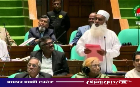 বোরকা নিয়ে সংসদে সরকারি দলের এমপির আপত্তিকর বক্তব্য