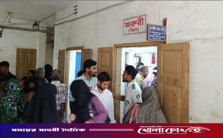 দৌলতপুরে সাপের উপদ্রব: ৮ জন আক্রান্ত, এক শিশুর মৃত্যুতে এলাকায় আতঙ্ক