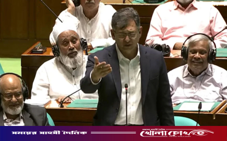 সীমান্তে কাঁটাতারের বেড়া দেবে বাংলাদেশ: সংসদে স্বরাষ্ট্রমন্ত্রী