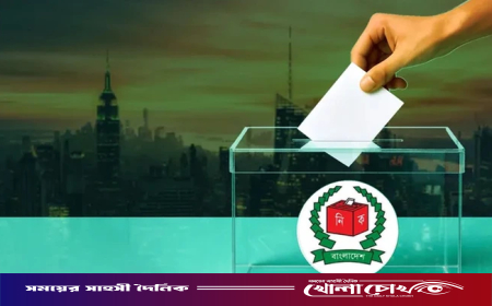 স্থানীয় সরকার নির্বাচনে ভোট দিতে পারবেন না প্রবাসীরা