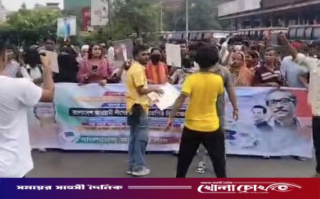 রাজধানীতে ককটেল ফাটিয়ে নিষিদ্ধ ছাত্রলীগের মিছিল, আটক ২