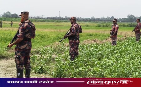 কৌশল বদলেছে বিএসএফ, পুশইনের নতুন রুট নদী আর দুর্গম অঞ্চল