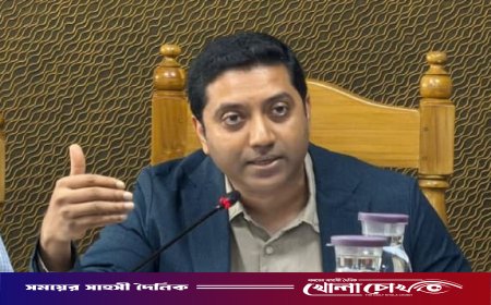 মোহাম্মদপুরে সিসি ক্যামেরা লাগানোর ৪৮ ঘণ্টার মধ্যেই চুরি: প্রতিমন্ত্রী ববি হাজ্জাজ