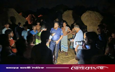 বিএনপি নেতার বিরুদ্ধে কৃষককে মারধরের অভিযোগ, ৪ ঘণ্টা পর মৃত্যু