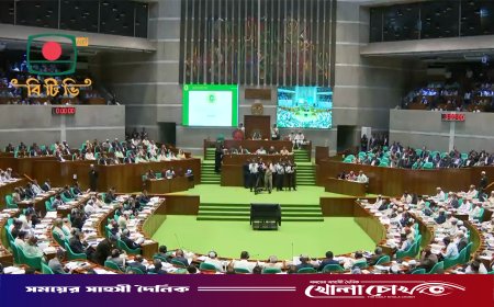 মামুনুল হককে নিয়ে সংসদে দেওয়া বক্তব্য এক্সপাঞ্জ করলেন স্পিকার
