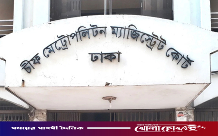 আ.লীগ নেত্রী তুহিন ও রোকেয়া ফের গ্রেপ্তার