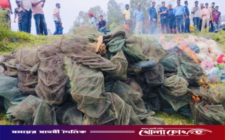 সিংড়ায় ২০ লাখ টাকার অবৈধ জাল ধ্বংস