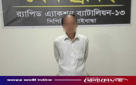 আশুলিয়ায় শিশু ধর্ষণচেষ্টা মামলার প্রধান আসামি গাইবান্ধা থেকে গ্রেপ্তার