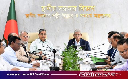 ডেঙ্গু প্রতিরোধে স্থানীয় সরকার প্রতিমন্ত্রীর নেতৃত্বে টাস্কফোর্স গঠনের সিদ্ধান্ত