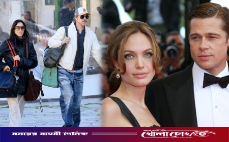 জোলির সঙ্গে বিরোধের মধ্যেই ব্র্যাড পিটের গোপন বিয়ে