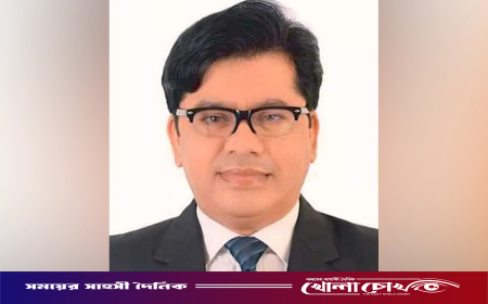 নারীর সঙ্গে ভিডিও ভাইরালের পর বিআইডব্লিউটিএ কর্মকর্তা বরখাস্ত