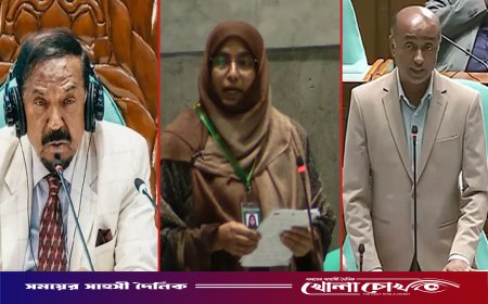আইনমন্ত্রীকে স্পিকার/তিনি জুলাই শহীদের মা, এটি খেয়াল রেখে বক্তব্য রাখবেন