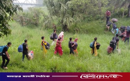 পুশইনে বিএসএফের নতুন কৌশল যেভাবে ভেস্তে দিল বিজিবি
