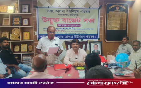 তালমা ইউনিয়ন পরিষদের ১ কোটি ৭১ লাখ টাকার উন্মুক্ত বাজেট ঘোষণা