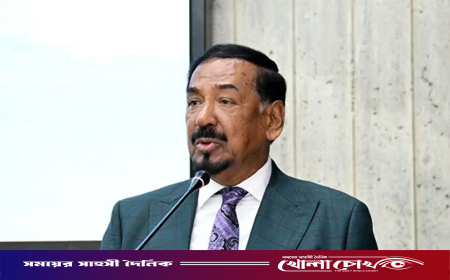 দেশ এবার সত্যিকারের কার্যকর সংসদ পেয়েছে: স্পিকার