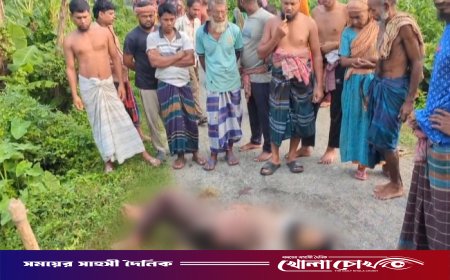 সালথায় হাত-পা কাটা অবস্থায় যুবকের মরদেহ উদ্ধার, তদন্তে পুলিশ